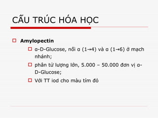 CẤU TRÚC HÓA HỌC
 Amylopectin
 α-D-Glucose, nối α (1 4) và
→ α (1 6)
→ ở mạch
nhánh;
 phân tử lượng lớn, 5.000 – 50.000 đơn vị α-
D-Glucose;
 Với TT iod cho màu tím đỏ
 
