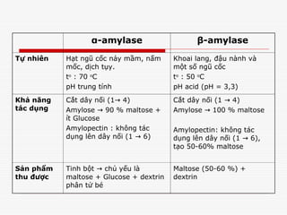 α-amylase β-amylase
Tự nhiên Hạt ngũ cốc nảy mầm, nấm
mốc, dịch tụy.
to
: 70 o
C
pH trung tính
Khoai lang, đậu nành và
một số ngũ cốc
to
: 50 o
C
pH acid (pH = 3,3)
Khả năng
tác dụng
Cắt dây nối (1→ 4)
Amylose → 90 % maltose +
ít Glucose
Amylopectin : không tác
dụng lên dây nối (1 → 6)
Cắt dây nối (1 → 4)
Amylose → 100 % maltose
Amylopectin: không tác
dụng lên dây nối (1 → 6),
tạo 50-60% maltose
Sản phẩm
thu được
Tinh bột → chủ yếu là
maltose + Glucose + dextrin
phân tử bé
Maltose (50-60 %) +
dextrin
 
