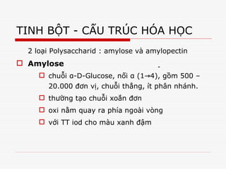 -
TINH BỘT - CẤU TRÚC HÓA HỌC
2 loại Polysaccharid : amylose và amylopectin
 Amylose
 chuỗi α-D-Glucose, nối α (1 4), gồm 500 –
→
20.000 đơn vị, chuỗi thẳng, ít phân nhánh.
 thường tạo chuỗi xoắn đơn
 oxi nằm quay ra phía ngoài vòng
 với TT iod cho màu xanh đậm
 