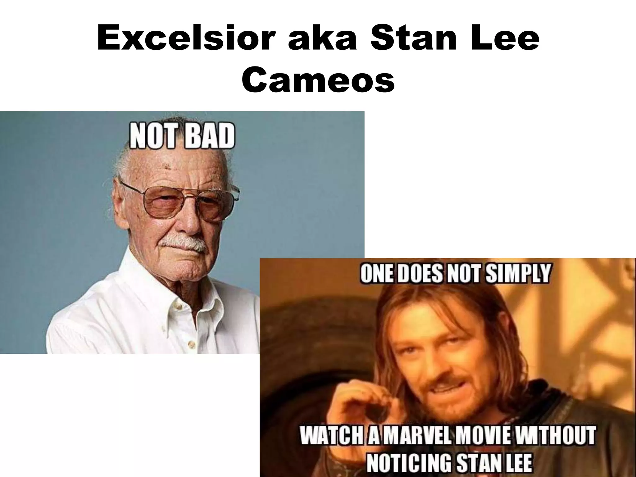 Excelsior aka Stan Lee
Cameos
 