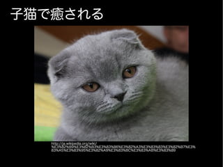 子猫で癒される
http://ja.wikipedia.org/wiki/
%E3%82%B9%E3%82%B3%E3%83%86%E3%82%A3%E3%83%83%E3%82%B7%E3%
83%A5%E3%83%95%E3%82%A9%E3%83%BC%E3%83%AB%E3%83%89
 