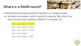 What’s in a NAAN record?
A NAAN (Name Assigning Authority Number) is a 5-digit number
● Numbers are opaque, which is good for longevity. But what if you
want to know what’s behind a NAAN? In a browser, try
n2t.net/ark:67375
n2t.net/ark:76611
n2t.net/ark:13960
n2t.net/ark:
n2t.net/pdb:1YOD
 