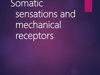Somatic
sensations and
mechanical
receptors
 
