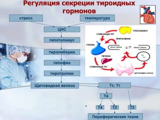 Dcmp