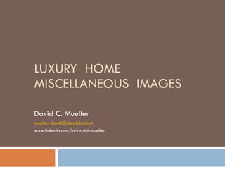 LUXURY  HOME MISCELLANEOUS  IMAGES David C. Mueller [email_address] www.linkedin.com/in/davidcmueller 
