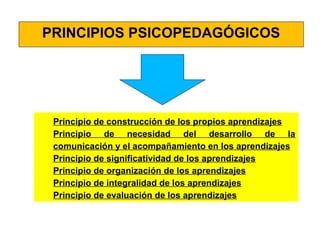 PRINCIPIOS PSICOPEDAGÓGICOS 
Principio de construcción de los propios aprendizajes 
Principio de necesidad del desarrollo de la 
comunicación y el acompañamiento en los aprendizajes 
Principio de significatividad de los aprendizajes 
Principio de organización de los aprendizajes 
Principio de integralidad de los aprendizajes 
Principio de evaluación de los aprendizajes 
 