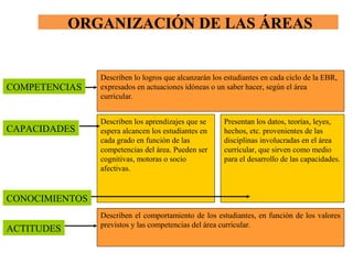 ORGANIZACIÓN DE LAS ÁREAS 
COMPETENCIAS 
CAPACIDADES 
CONOCIMIENTOS 
ACTITUDES 
Describen lo logros que alcanzarán los estudiantes en cada ciclo de la EBR, 
expresados en actuaciones idóneas o un saber hacer, según el área 
curricular. 
Describen los aprendizajes que se 
espera alcancen los estudiantes en 
cada grado en función de las 
competencias del área. Pueden ser 
cognitivas, motoras o socio 
afectivas. 
Presentan los datos, teorías, leyes, 
hechos, etc. provenientes de las 
disciplinas involucradas en el área 
curricular, que sirven como medio 
para el desarrollo de las capacidades. 
Describen el comportamiento de los estudiantes, en función de los valores 
previstos y las competencias del área curricular. 
 