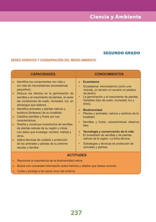 237
SEGUNDO GRADO
SERES VIVIENTES Y CONSERVACIÓN DEL MEDIO AMBIENTE
CAPACIDADES
Identiﬁca los componentes con vida y
sin vida de microsistemas (ecosistemas
pequeños).
Deduce los efectos en la germinación de
semillas y el crecimiento de plantas, al variar
las condiciones de suelo, humedad, luz; en
almácigos que elabora.
Identiﬁca animales y plantas nativos y
exóticos (foráneos) de su localidad.
Clasiﬁca semillas y frutos por sus
características.
Diseña y construye muestrarios de semillas
de plantas nativas de su región y rotula
con datos que investiga: nombre, hábitat y
otros.
Aplica técnicas de cuidado y protección
de los animales y plantas de su entorno
escolar y familiar.
CONOCIMIENTOS
ACTITUDES
Reconoce la importancia de la biodiversidad nativa.
Busca con curiosidad información sobre hechos u objetos que desea conocer.
Cuida y protege a los seres vivos del entorno.
Ecosistema
Ecosistema: microsistema (como una•
maceta, un terrario un acuario un pedazo
de jardín).
La germinación y el crecimiento de plantas.•
Variables (tipo de suelo, humedad, luz y
otras).
Biodiversidad
Plantas y animales: nativos y exóticos de la•
localidad.
Semillas y frutos: características observa-•
bles.
Tecnología y conservación de la vida
El muestrario de semillas y de plantas•
nativas de la región. La ﬁcha técnica.
Estrategias y técnicas de protección de•
animales y plantas.
Ciencia y Ambiente
 