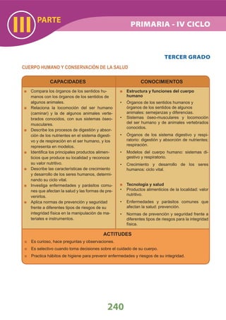 ACTITUDES
Es curioso, hace preguntas y observaciones.
Es selectivo cuando toma decisiones sobre el cuidado de su cuerpo.
Practica hábitos de higiene para prevenir enfermedades y riesgos de su integridad.
PARTE
III
240
TERCER GRADO
CUERPO HUMANO Y CONSERVACIÓN DE LA SALUD
Estructura y funciones del cuerpo
humano
• Órganos de los sentidos humanos y
órganos de los sentidos de algunos
animales: semejanzas y diferencias.
Sistemas óseo-musculares y locomoción•
del ser humano y de animales vertebrados
conocidos.
Órganos de los sistema digestivo y respi-•
ratorio: digestión y absorción de nutrientes;
respiración.
Modelos del cuerpo humano: sistemas di-•
gestivo y respiratorio.
Crecimiento y desarrollo de los seres•
humanos: ciclo vital.
Tecnología y salud
Productos alimenticios de la localidad: valor•
nutritivo.
Enfermedades y parásitos comunes que•
afectan la salud: prevención.
Normas de prevención y seguridad frente a•
diferentes tipos de riesgos para la integridad
física.
Compara los órganos de los sentidos hu-
manos con los órganos de los sentidos de
algunos animales.
Relaciona la locomoción del ser humano
(caminar) y la de algunos animales verte-
brados conocidos, con sus sistemas óseo-
musculares.
Describe los procesos de digestión y absor-
ción de los nutrientes en el sistema digesti-
vo y de respiración en el ser humano, y los
representa en modelos.
Identiﬁca los principales productos alimen-
ticios que produce su localidad y reconoce
su valor nutritivo.
Describe las características de crecimiento
y desarrollo de los seres humanos, determi-
nando su ciclo vital.
Investiga enfermedades y parásitos comu-
nes que afectan la salud y las formas de pre-
venirlos.
Aplica normas de prevención y seguridad
frente a diferentes tipos de riesgos de su
integridad física en la manipulación de ma-
teriales e instrumentos.
CAPACIDADES CONOCIMIENTOS
PRIMARIA - IV CICLO
 