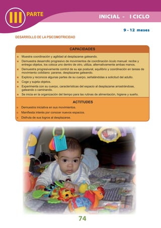 74
PARTE
III
9 - 12 meses
DESARROLLO DE LA PSICOMOTRICIDAD
CAPACIDADES
Muestra coordinación y agilidad al desplazarse gateando.
Demuestra desarrollo progresivo de movimientos de coordinación óculo manual: recibe y
entrega objetos, los coloca uno dentro de otro, utiliza, alternativamente ambas manos.
Demuestra progresivamente control de su eje postural, equilibrio y coordinación en tareas de
movimiento cotidiano: pararse, desplazarse gateando.
Explora y reconoce algunas partes de su cuerpo, señalándolas a solicitud del adulto.
Coge y sujeta objetos.
Experimenta con su cuerpo, características del espacio al desplazarse arrastrándose,
gateando o caminando.
Se inicia en la organización del tiempo para las rutinas de alimentación, higiene y sueño.
ACTITUDES
Demuestra iniciativa en sus movimientos.
Maniﬁesta interés por conocer nuevos espacios.
Disfruta de sus logros al desplazarse.
INICIAL - I CICLO
 