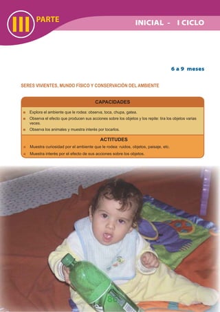 PARTE
III
86
SERES VIVIENTES, MUNDO FÍSICO Y CONSERVACIÓN DEL AMBIENTE
Explora el ambiente que le rodea: observa, toca, chupa, gatea.
Observa el efecto que producen sus acciones sobre los objetos y los repite: tira los objetos varias
veces.
Observa los animales y muestra interés por tocarlos.
ACTITUDES
Muestra curiosidad por el ambiente que le rodea: ruidos, objetos, paisaje, etc.
Muestra interés por el efecto de sus acciones sobre los objetos.
6 a 9 meses
CAPACIDADES
INICIAL - I CICLO
 