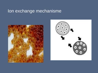 Ion exchange mechanisme
 