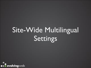 Site-Wide Multilingual
      Settings
 