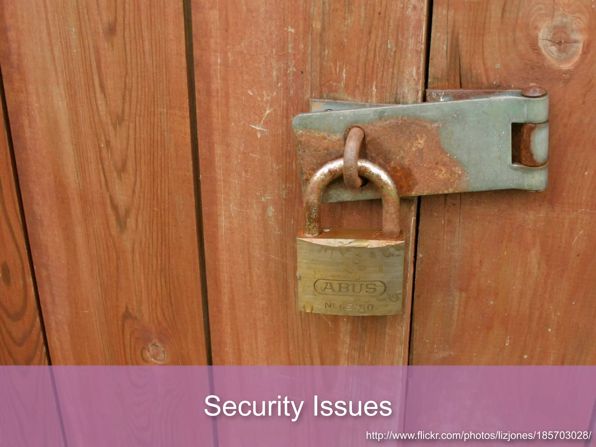 Security Issues
            http://www.flickr.com/photos/lizjones/185703028/
 