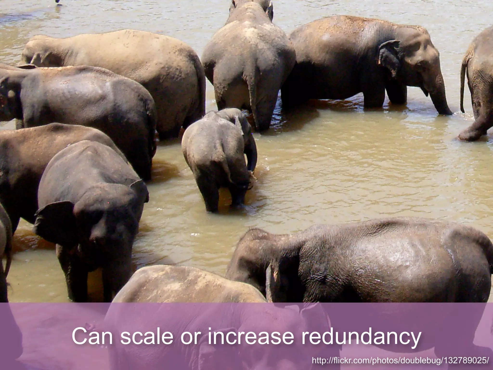 Can scale or increase redundancy
                     http://flickr.com/photos/doublebug/132789025/
 