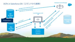 Developer-Controlled Packages (DCPs) を試してみた