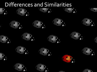 Differences and Similarities
 