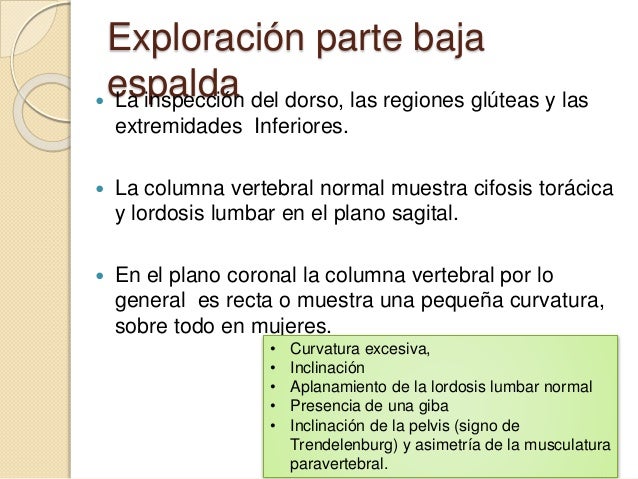 El dolor en los riñones el mioma
