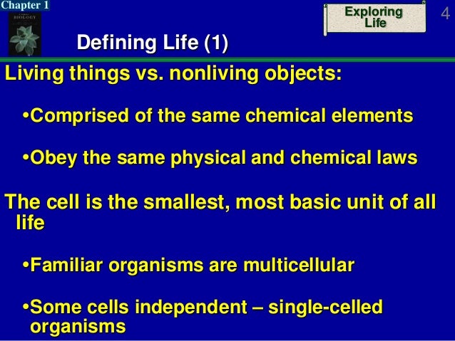 what are the fundamental things in life