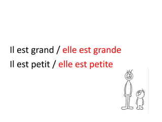 Il est grand / elle est grande
Il est petit / elle est petite
 