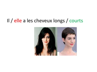 Il / elle a les cheveux longs / courts
 