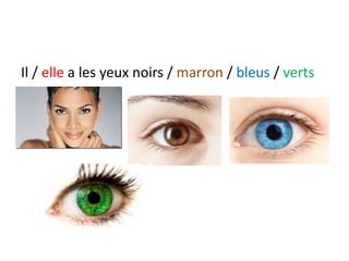 Il / elle a les yeux noirs / marron / bleus / verts
 
