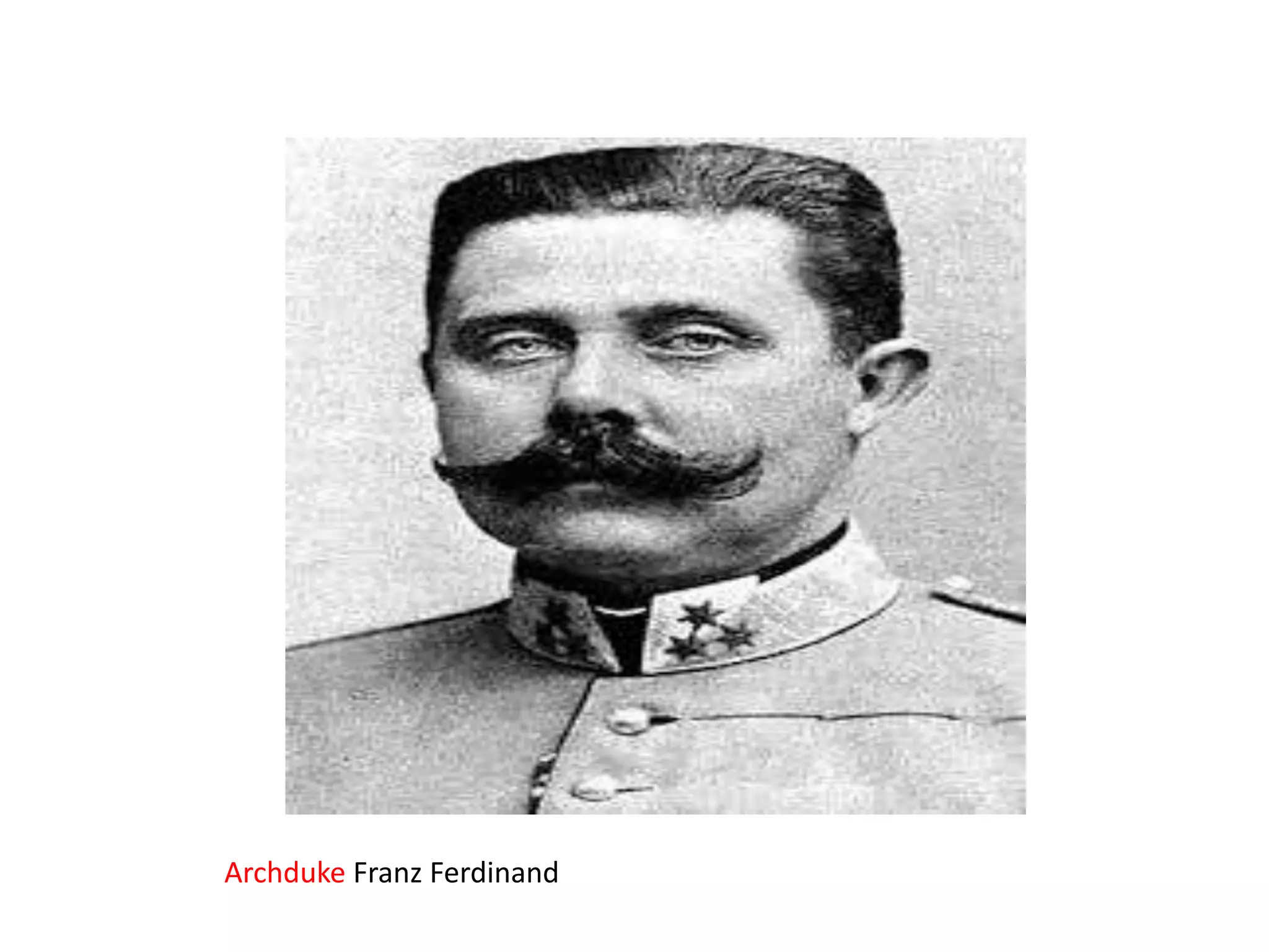 Archduke Franz Ferdinand

 