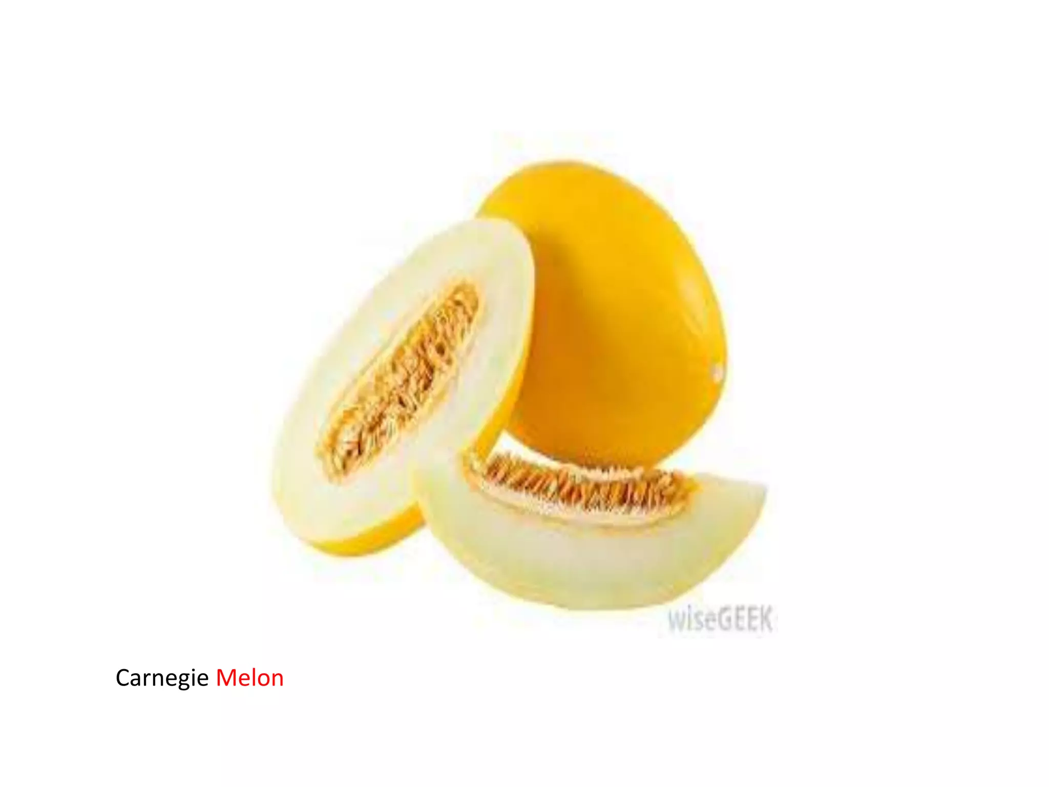 Carnegie Melon

 
