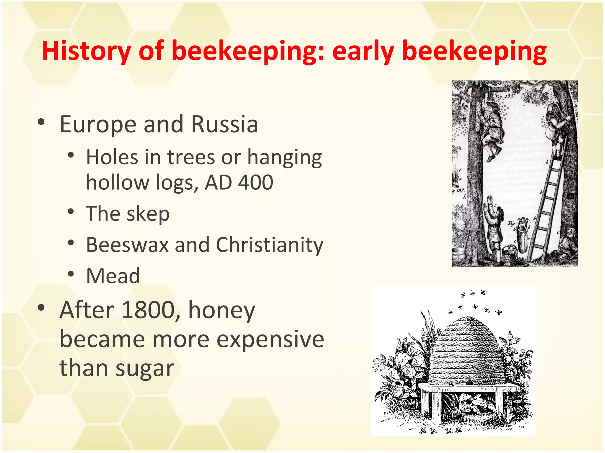 Apiculture Bee keeping | PPT
