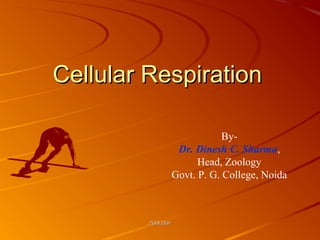 ZOOLOGYZOOLOGY
Cellular RespirationCellular Respiration
By-
Dr. Dinesh C. Sharma,
Head, Zoology
Govt. P. G. College, Noida
 