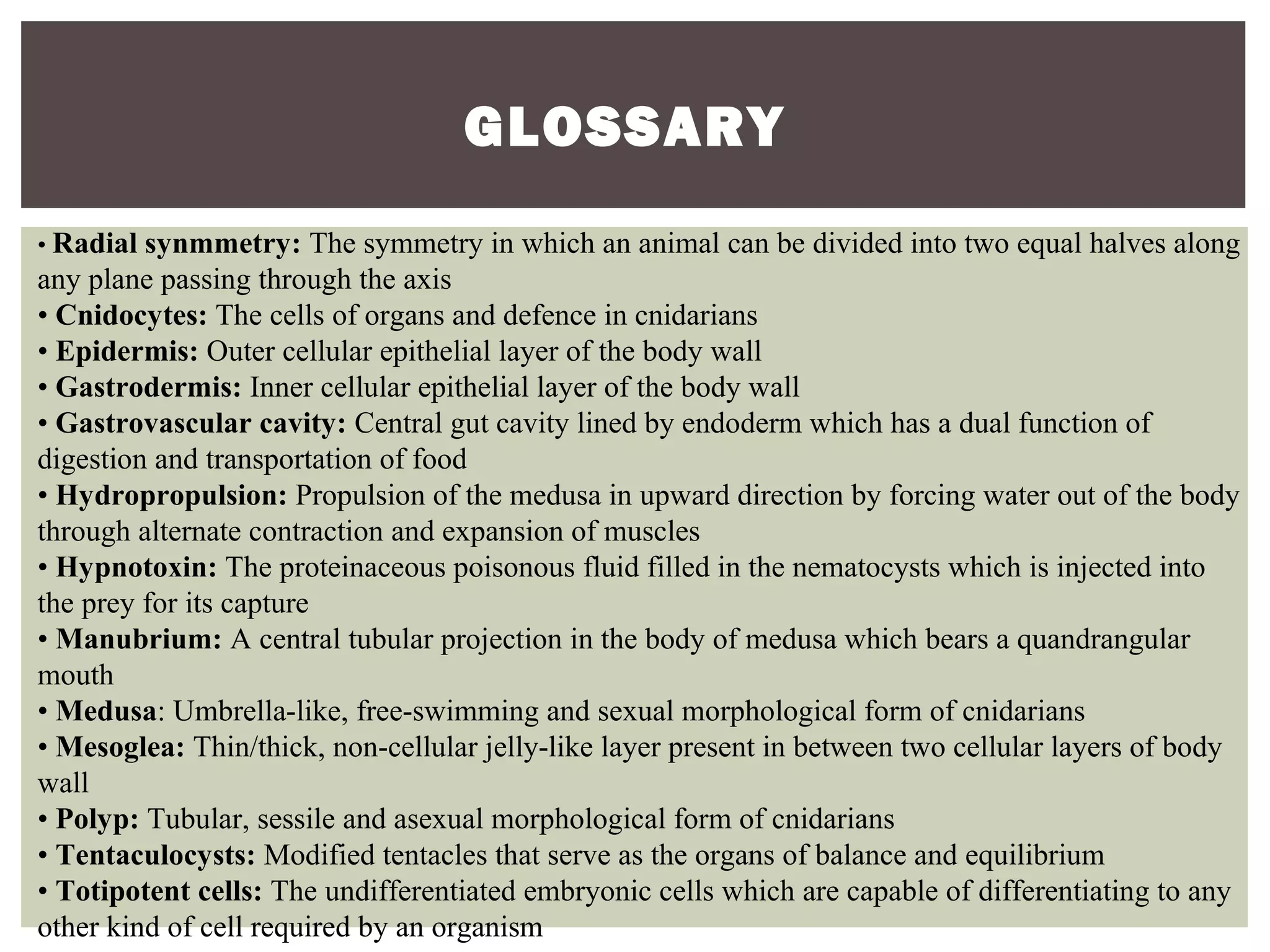 GLOSSARY
• Radial synmmetry: The symmetry in which an animal can be divided into two equal halves along
any plane passing through the axis
• Cnidocytes: The cells of organs and defence in cnidarians
• Epidermis: Outer cellular epithelial layer of the body wall
• Gastrodermis: Inner cellular epithelial layer of the body wall
• Gastrovascular cavity: Central gut cavity lined by endoderm which has a dual function of
digestion and transportation of food
• Hydropropulsion: Propulsion of the medusa in upward direction by forcing water out of the body
through alternate contraction and expansion of muscles
• Hypnotoxin: The proteinaceous poisonous fluid filled in the nematocysts which is injected into
the prey for its capture
• Manubrium: A central tubular projection in the body of medusa which bears a quandrangular
mouth
• Medusa: Umbrella-like, free-swimming and sexual morphological form of cnidarians
• Mesoglea: Thin/thick, non-cellular jelly-like layer present in between two cellular layers of body
wall
• Polyp: Tubular, sessile and asexual morphological form of cnidarians
• Tentaculocysts: Modified tentacles that serve as the organs of balance and equilibrium
• Totipotent cells: The undifferentiated embryonic cells which are capable of differentiating to any
other kind of cell required by an organism
 