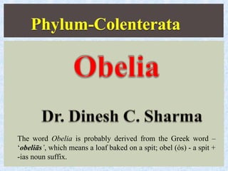 The word Obelia is probably derived from the Greek word –
‘obeliās’, which means a loaf baked on a spit; obel (ós) - a spit +
-ias noun suffix.
 