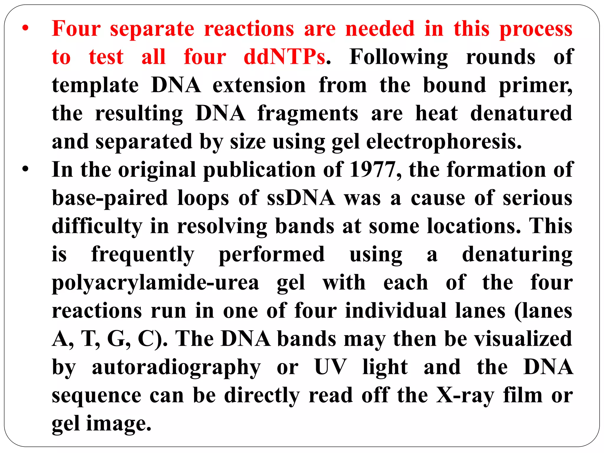 • Four separate reactions are needed in this process
to test all four ddNTPs. Following rounds of
template DNA extension from the bound primer,
the resulting DNA fragments are heat denatured
and separated by size using gel electrophoresis.
• In the original publication of 1977, the formation of
base-paired loops of ssDNA was a cause of serious
difficulty in resolving bands at some locations. This
is frequently performed using a denaturing
polyacrylamide-urea gel with each of the four
reactions run in one of four individual lanes (lanes
A, T, G, C). The DNA bands may then be visualized
by autoradiography or UV light and the DNA
sequence can be directly read off the X-ray film or
gel image.
 