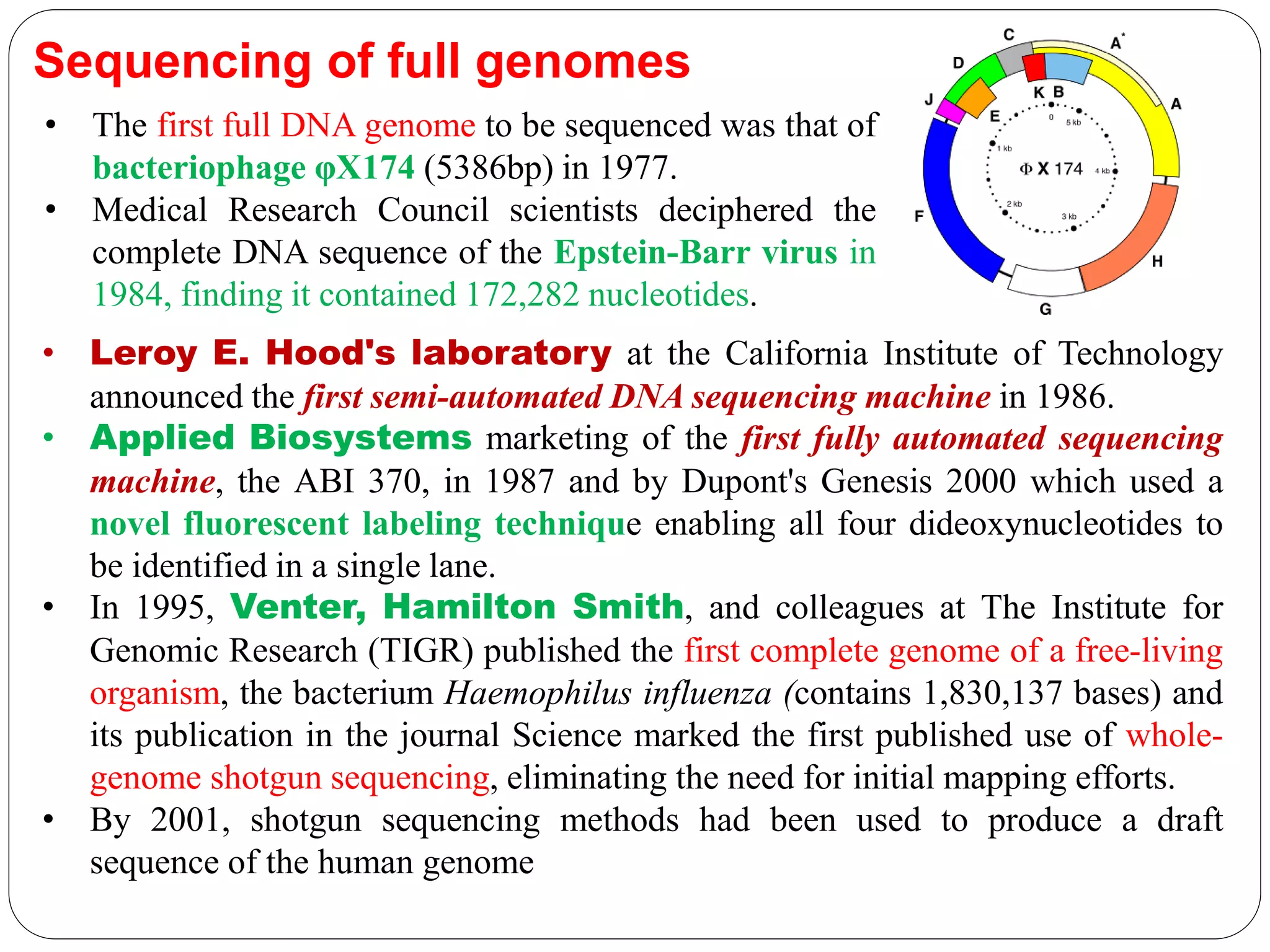 Sequencing of full genomes
• The first full DNA genome to be sequenced was that of
bacteriophage φX174 (5386bp) in 1977.
• Medical Research Council scientists deciphered the
complete DNA sequence of the Epstein-Barr virus in
1984, finding it contained 172,282 nucleotides.
• Leroy E. Hood's laboratory at the California Institute of Technology
announced the first semi-automated DNA sequencing machine in 1986.
• Applied Biosystems marketing of the first fully automated sequencing
machine, the ABI 370, in 1987 and by Dupont's Genesis 2000 which used a
novel fluorescent labeling technique enabling all four dideoxynucleotides to
be identified in a single lane.
• In 1995, Venter, Hamilton Smith, and colleagues at The Institute for
Genomic Research (TIGR) published the first complete genome of a free-living
organism, the bacterium Haemophilus influenza (contains 1,830,137 bases) and
its publication in the journal Science marked the first published use of whole-
genome shotgun sequencing, eliminating the need for initial mapping efforts.
• By 2001, shotgun sequencing methods had been used to produce a draft
sequence of the human genome
 