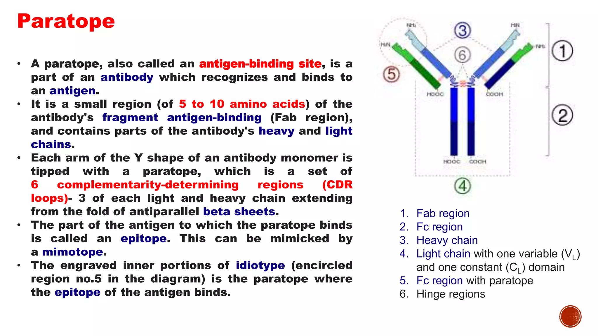 Organization and expression of immunoglobulin genes | PPT