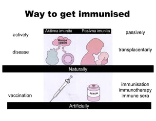 Way to get immunised
Aktívna imunita Pasívna imunita
Prirodzene získaná Prirodzene získaná
Umelo navodená Umelo
navodená
Stávame sa imúnnymi prirodzenou cestou alebo umelo. Očkovaním si vytvárame
umelo získanú aktívnu imunitu voči chorobám.
actively
disease
vaccination
passively
transplacentarly
immunisation
immunotherapy
immune sera
Naturally
Artificially
 
