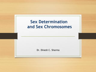 Sex Determination
and Sex Chromosomes
Dr. Dinesh C. Sharma
 