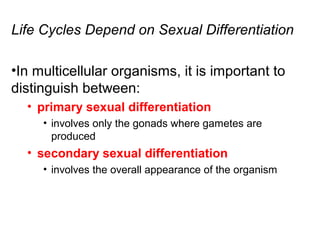 Sex Determination and Sex Chromosomes | PPT