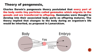 Theories of embryonic  development