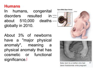 Humans
In humans, congenital
disorders resulted in
about 510,000 deaths
globally in 2010.
About 3% of newborns
have a "major physical
anomaly", meaning a
physical anomaly that has
cosmetic or functional
significance.[
 