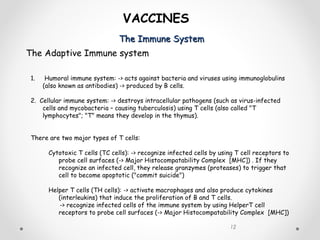 The Immune SystemThe Immune System
12
VACCINES
The Adaptive Immune system
1. Humoral immune system: -> acts against bacteria and viruses using immunoglobulins
(also known as antibodies) -> produced by B cells.
2. Cellular immune system: -> destroys intracellular pathogens (such as virus-infected
cells and mycobacteria – causing tuberculosis) using T cells (also called "T
lymphocytes"; "T" means they develop in the thymus).
There are two major types of T cells:
Cytotoxic T cells (TC cells): -> recognize infected cells by using T cell receptors to
probe cell surfaces (-> Major Histocompatability Complex [MHC]) . If they
recognize an infected cell, they release granzymes (proteases) to trigger that
cell to become apoptotic ("commit suicide")
Helper T cells (TH cells): -> activate macrophages and also produce cytokines
(interleukins) that induce the proliferation of B and T cells.
-> recognize infected cells of the immune system by using HelperT cell
receptors to probe cell surfaces (-> Major Histocompatability Complex [MHC])
 