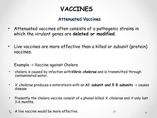 Attenuated VaccinesAttenuated Vaccines
28
VACCINES
• Attenuated vaccines often consists of a pathogenic strains in
which the virulent genes are deleted or modified.
• Live vaccines are more effective than a killed or subunit (protein)
vaccines.
Example -> Vaccine against Cholera
• cholera is caused by infection withVibrio cholerae and is transmitted through
contaminated water.
• V. cholerae produces a enterotoxin with an A1 subunit and 5 B subunits -> causes
disease
• Presently the cholera vaccine consist of a phenol-killed V. cholerae and it only last
3-6 months.
• A live vaccine would be more effective.
 