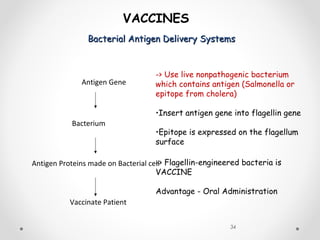 Bacterial Antigen Delivery SystemsBacterial Antigen Delivery Systems
34
VACCINES
Antigen Gene
Bacterium
Antigen Proteins made on Bacterial cell
Vaccinate Patient
-> Use live nonpathogenic bacterium
which contains antigen (Salmonella or
epitope from cholera)
•Insert antigen gene into flagellin gene
•Epitope is expressed on the flagellum
surface
-> Flagellin-engineered bacteria is
VACCINE
Advantage - Oral Administration
 