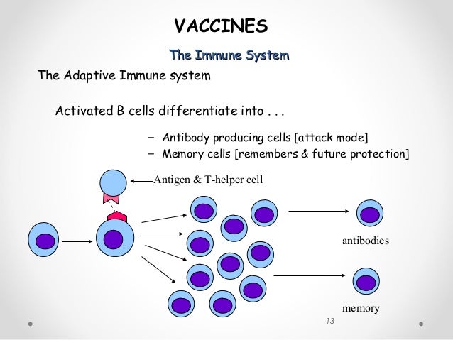 Vaccine and immunization