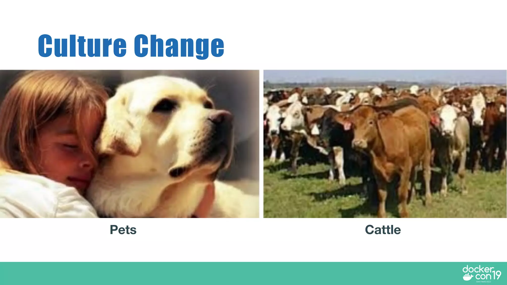 Culture Change
Pets Cattle
 