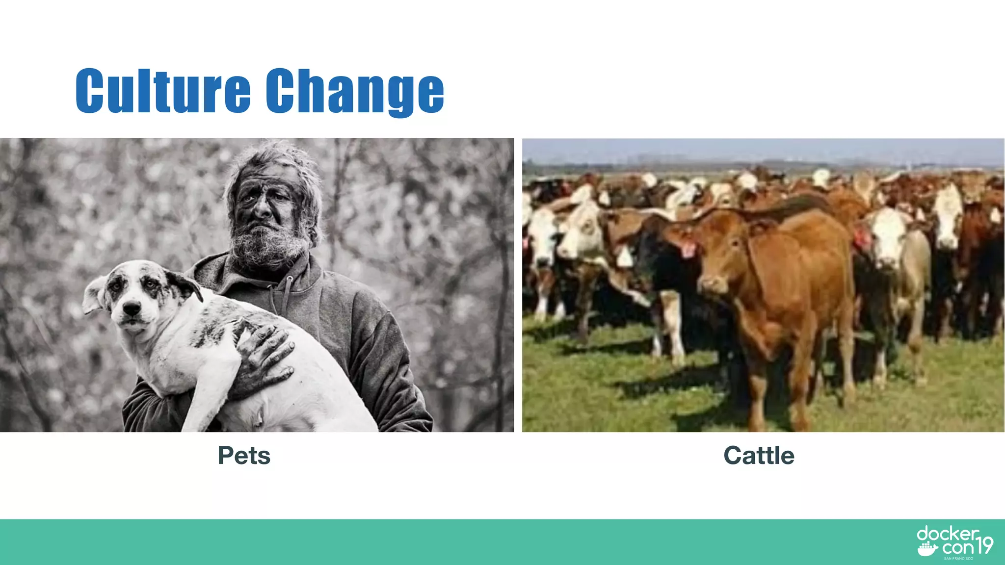 Culture Change
Pets Cattle
 