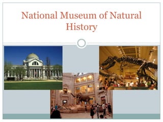National Museum of Natural
          History
 