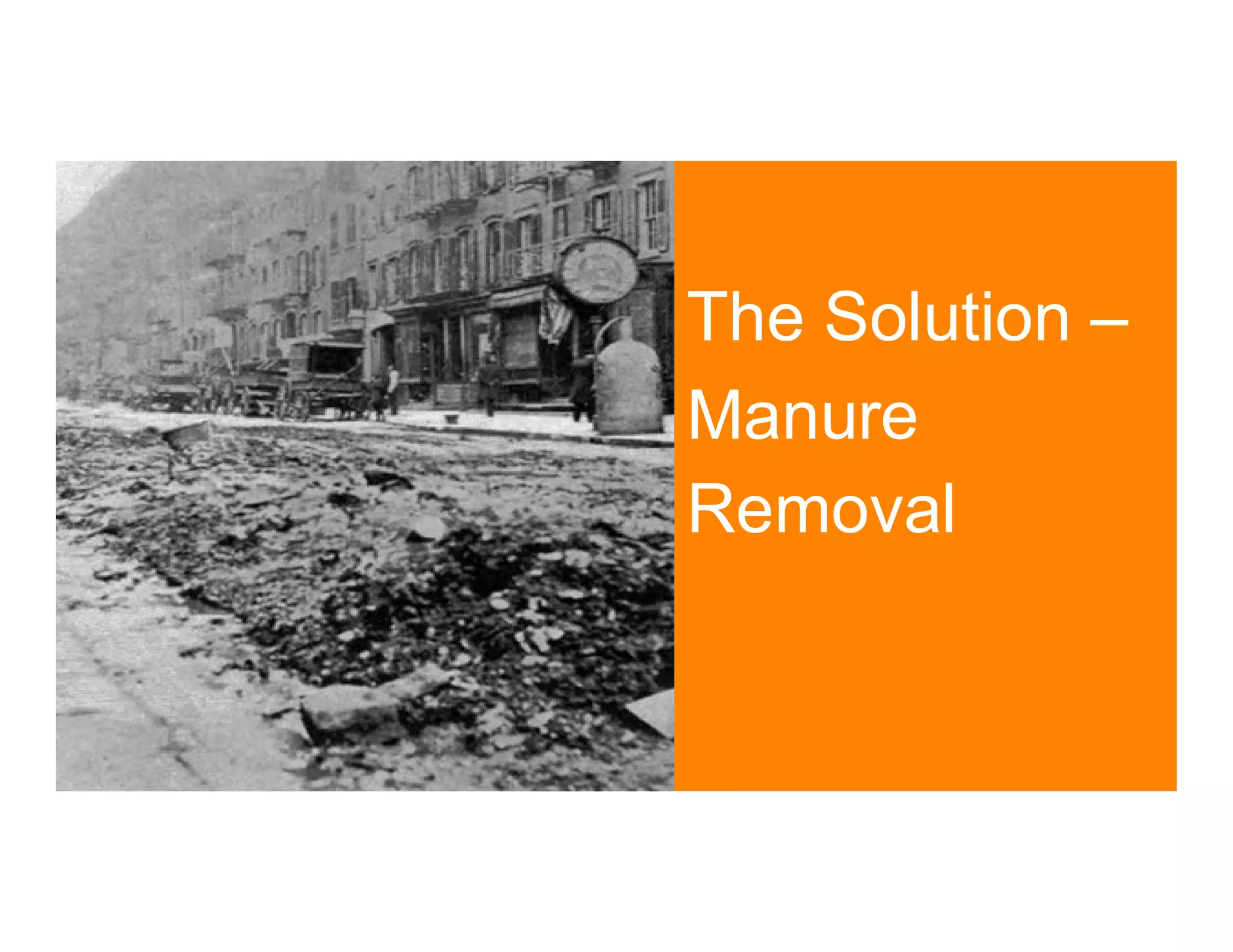 The Solution –
Manure
Removal
12
 