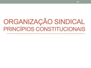 ORGANIZAÇÃO SINDICAL
PRINCÍPIOS CONSTITUCIONAIS
14
 
