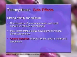 Copyright © 2002, 1998, Elsevier Science (USA). All rights reserved.
Tetracyclines:Tetracyclines: Side EffectsSide Effects
Strong affinity for calciumStrong affinity for calcium
• Discoloration of permanent teeth and toothDiscoloration of permanent teeth and tooth
enamel in fetuses and childrenenamel in fetuses and children
• May retard fetal skeletal development if takenMay retard fetal skeletal development if taken
during pregnancy.during pregnancy.
• Contra-indicationContra-indication Should not be used in children &Should not be used in children &
pregnancypregnancy
 
